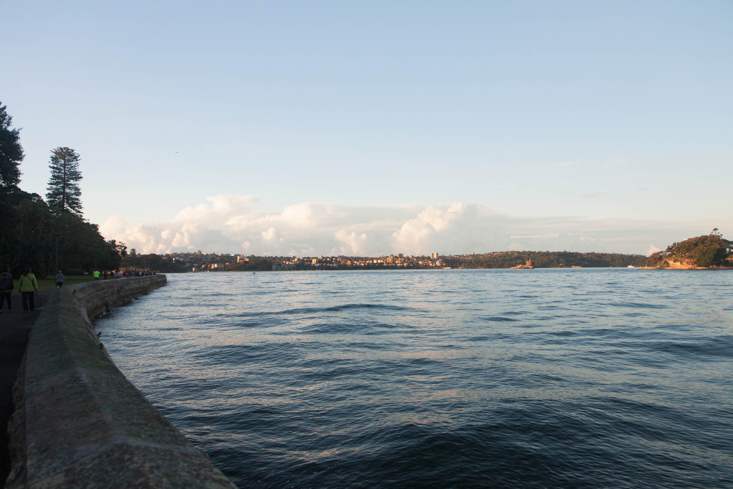 uma foto por dia - clica para aumentar